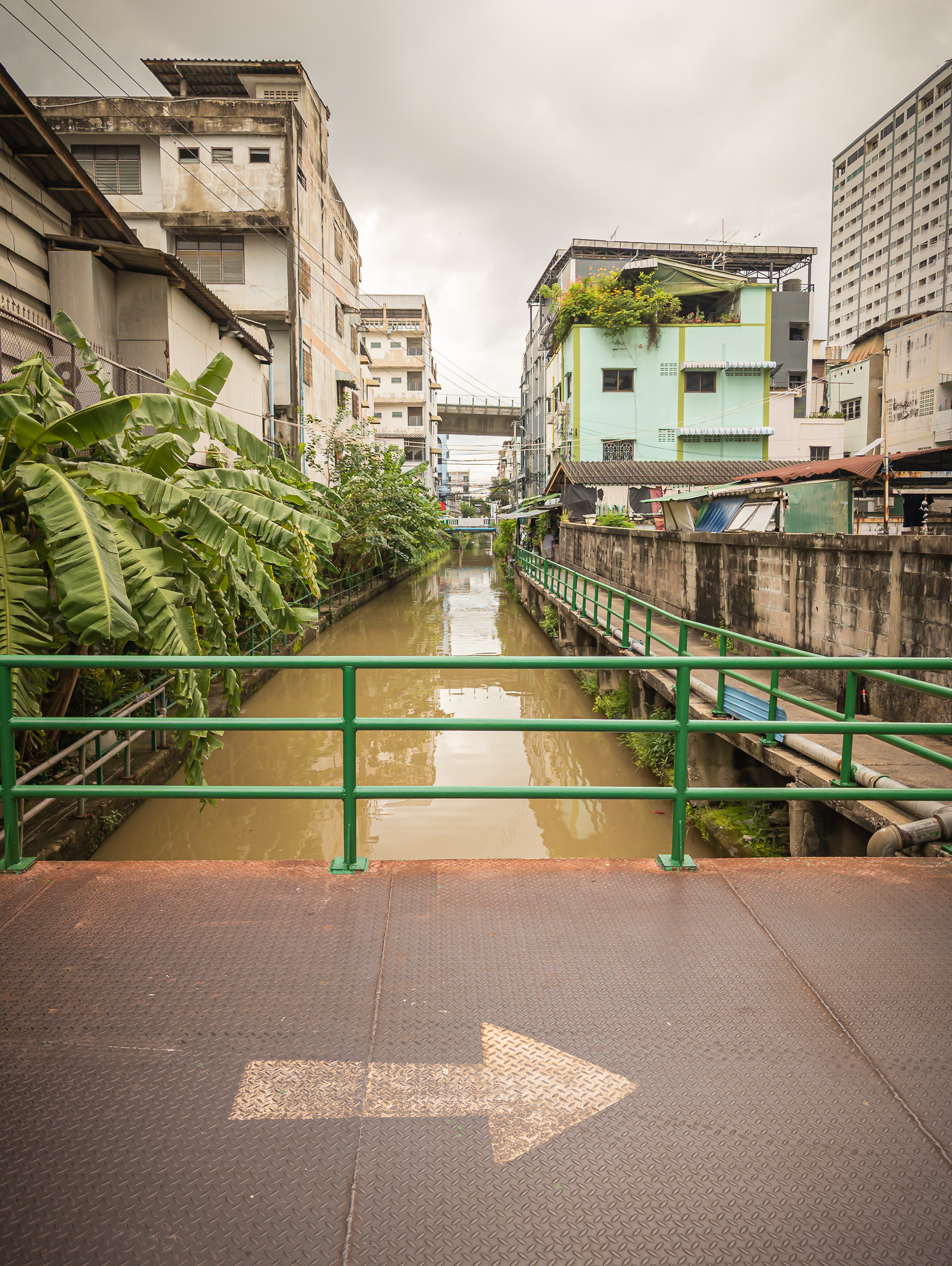 20240909 PXL 20240907 075219168.RAW 02.ORIGINAL