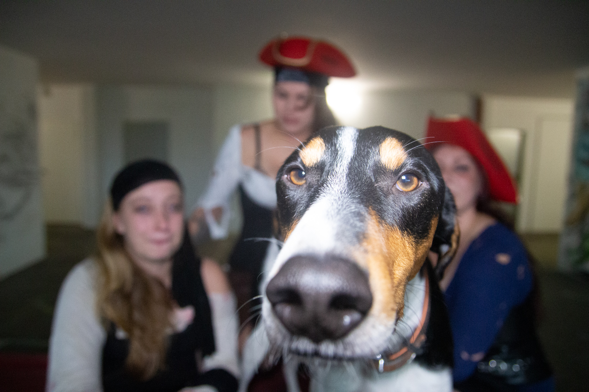 20161011 163409 00011