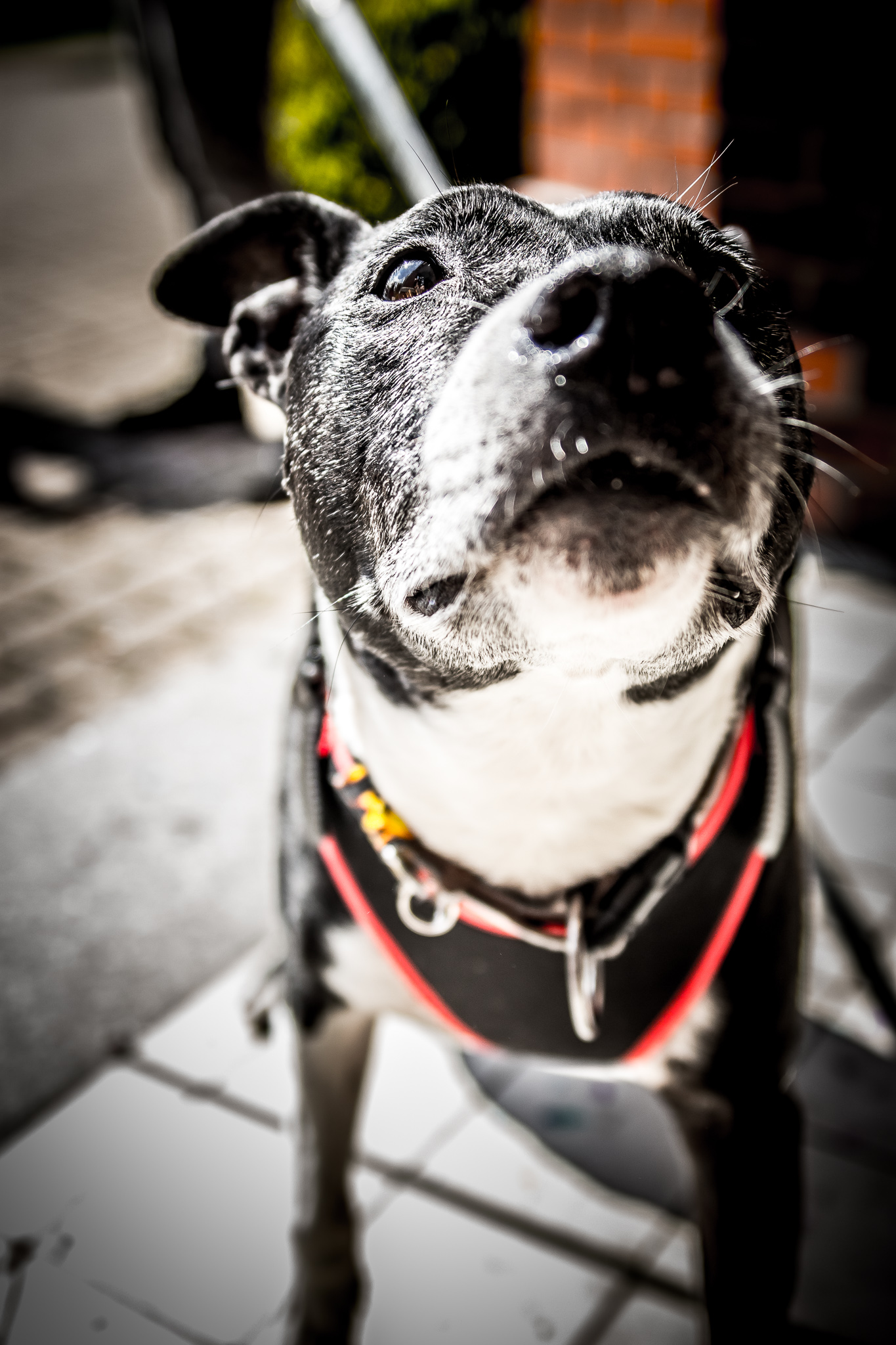 20170419 111038 00012