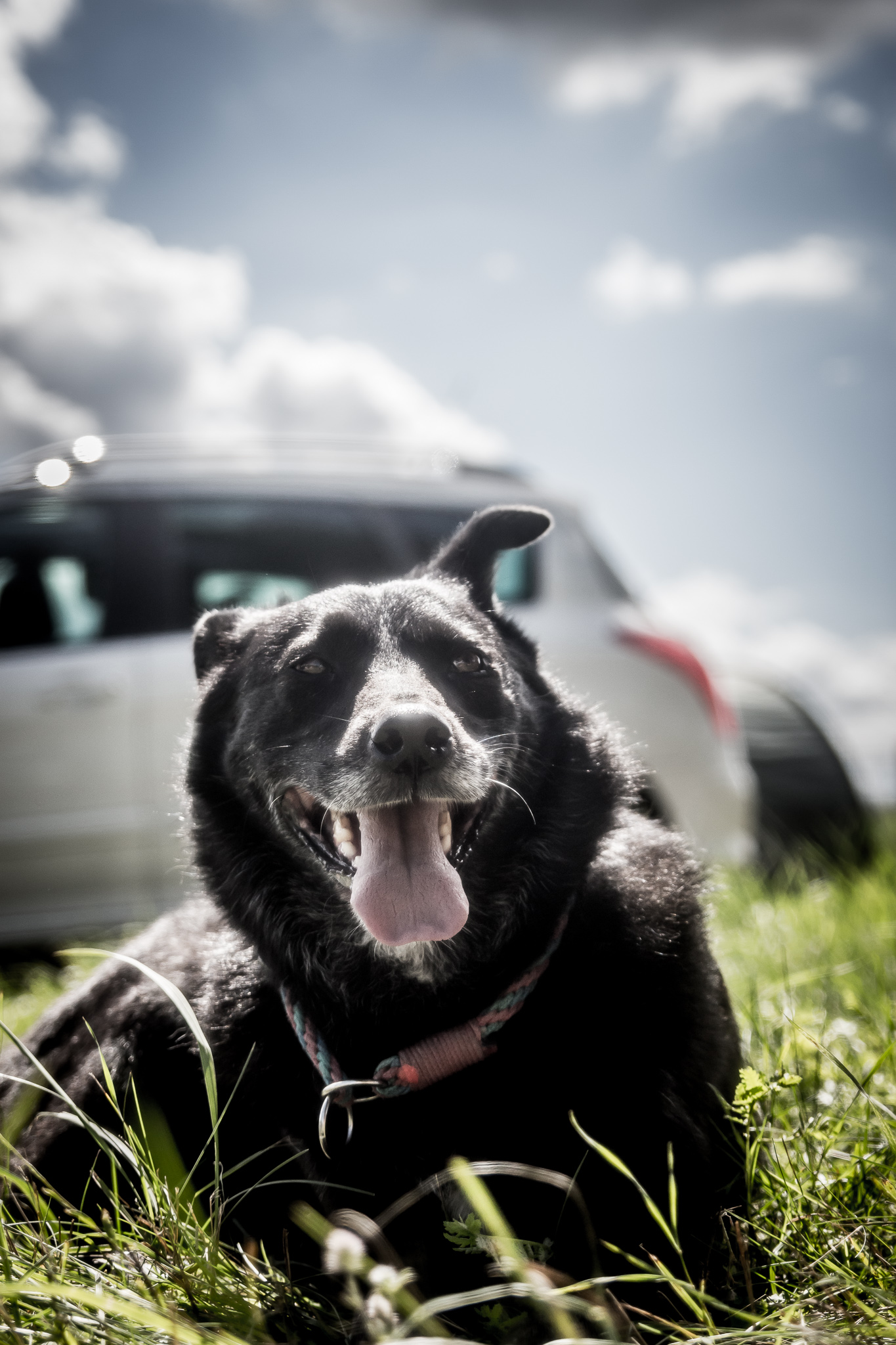 20170806 124321 00018