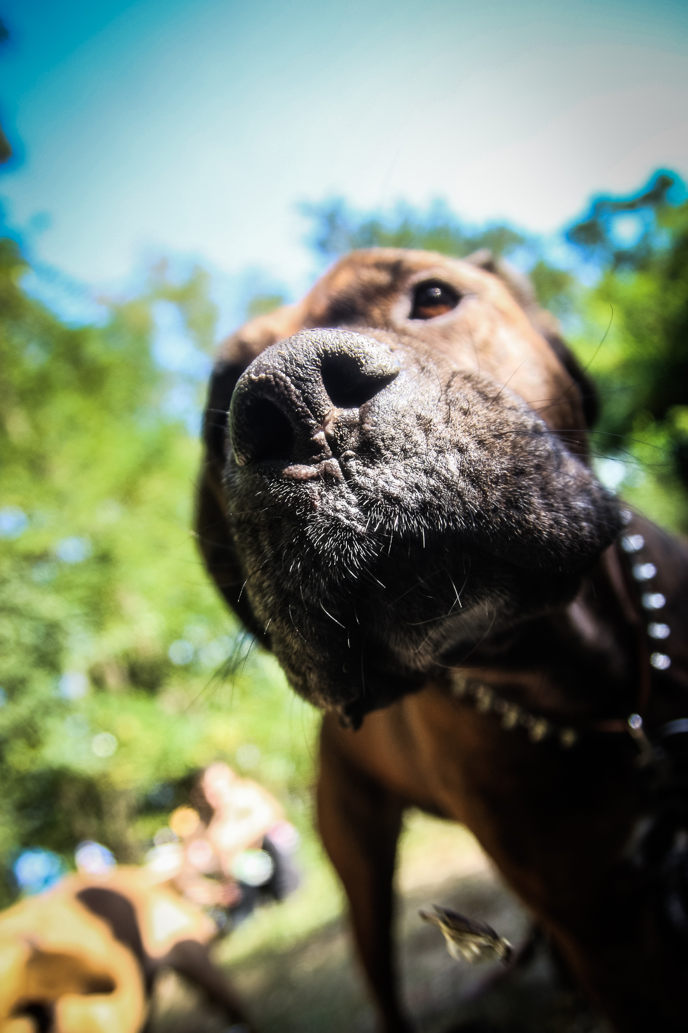 20170930 123751 00019