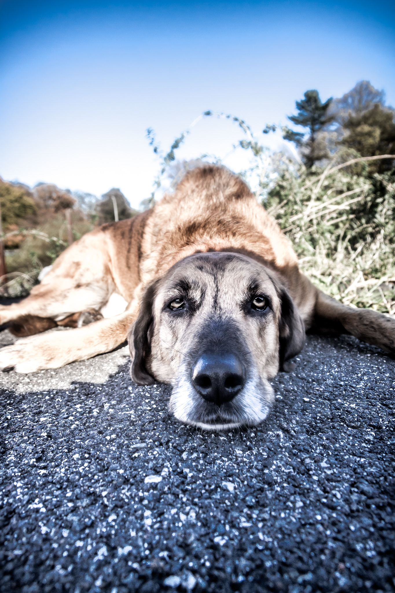 20171106 114922 00020