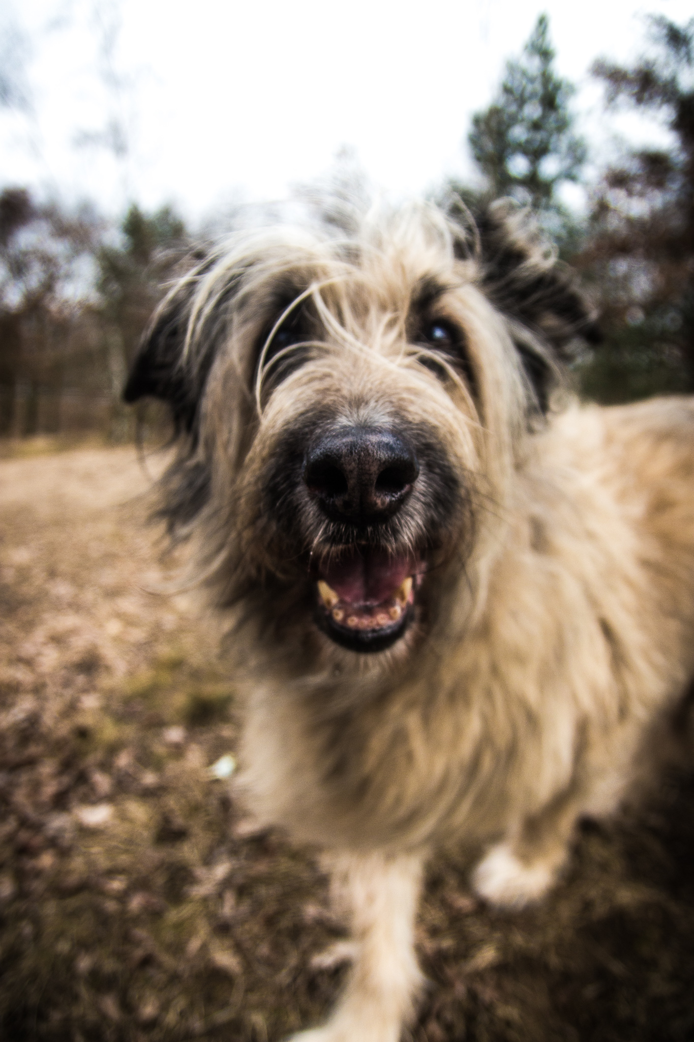 20180313 162726 00021