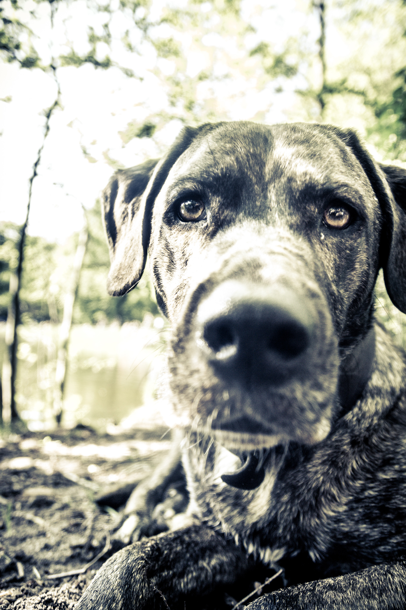 20180429 163959 00022