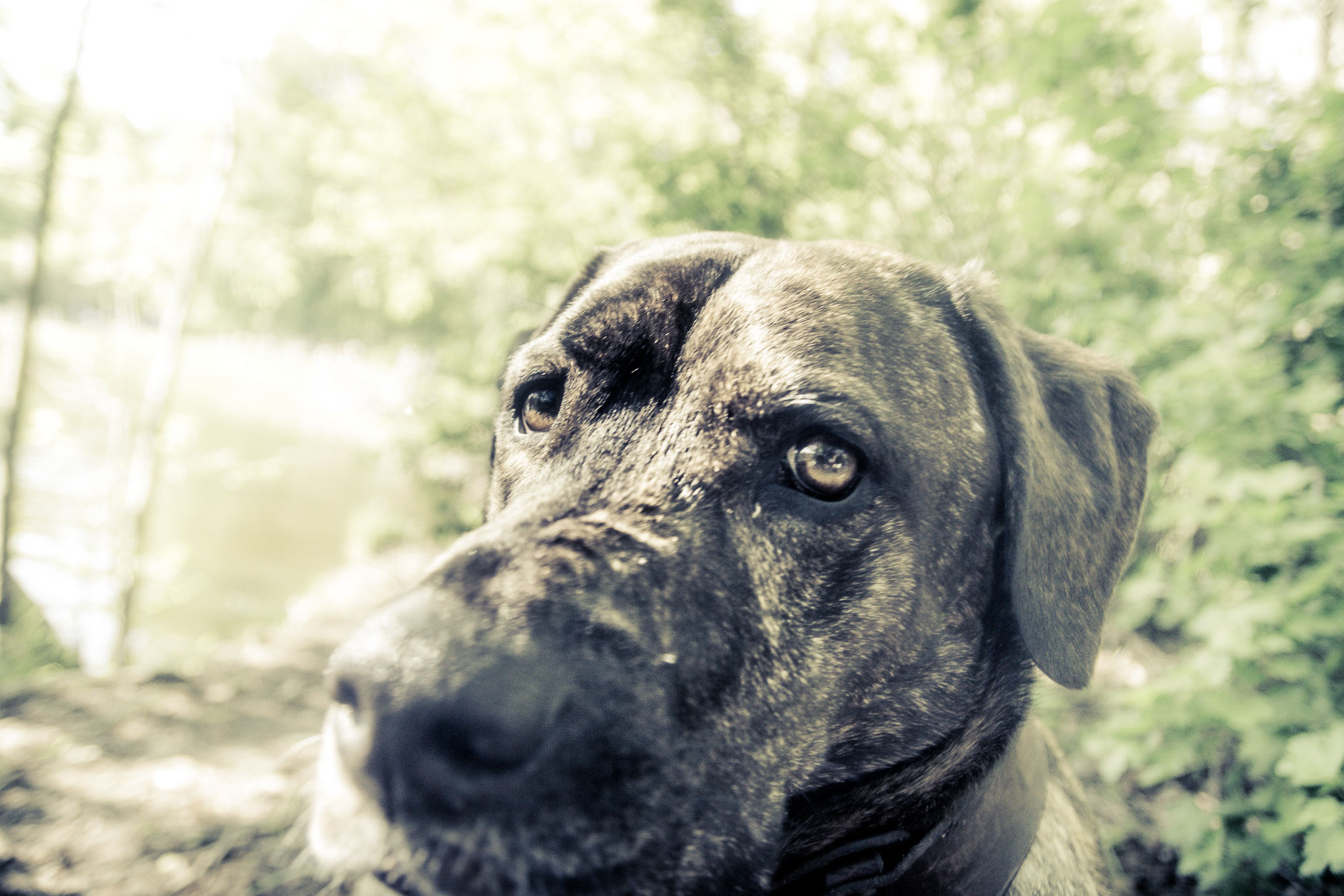 20180429 164122 00023