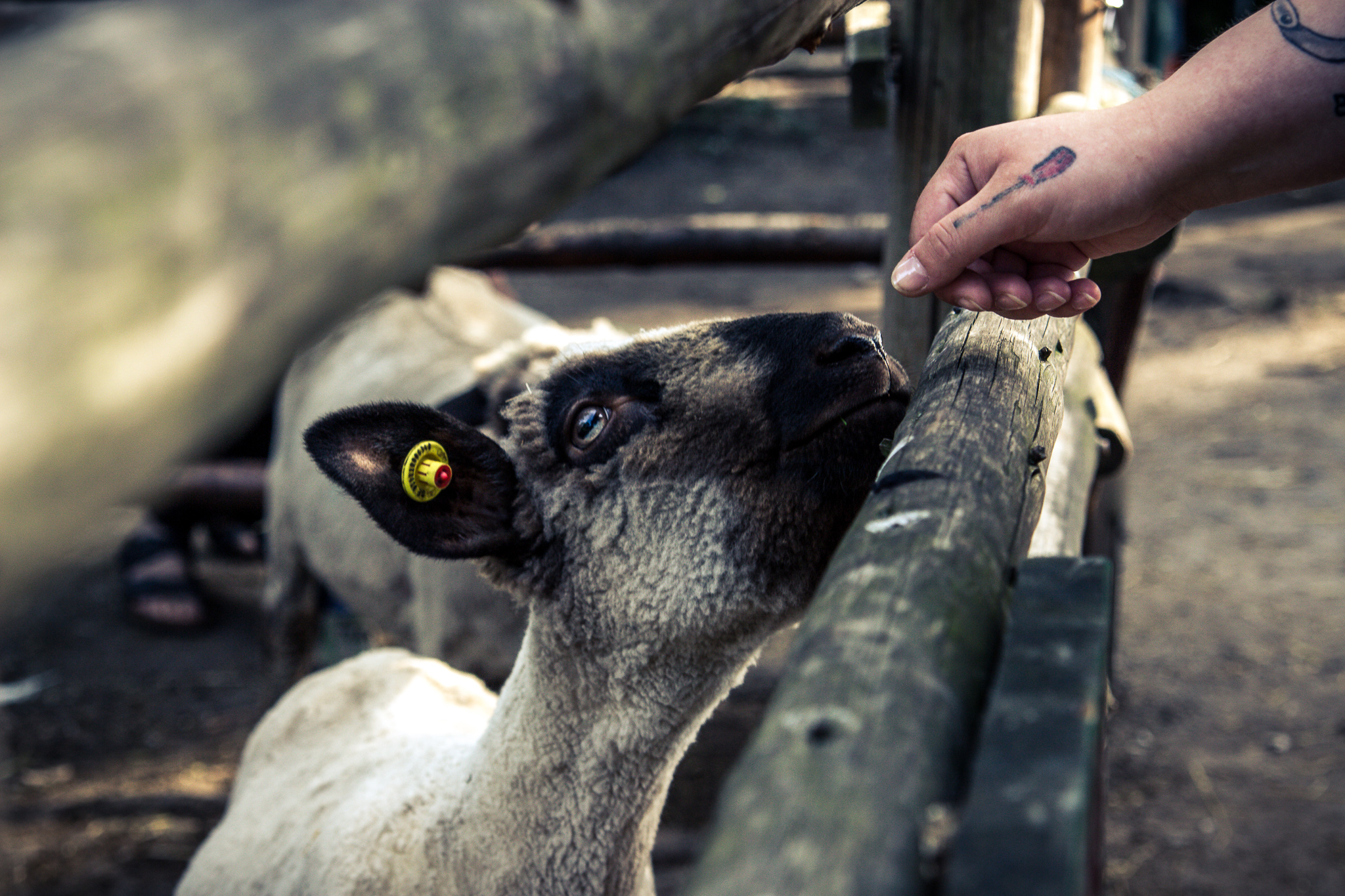 20180611 181755 00024