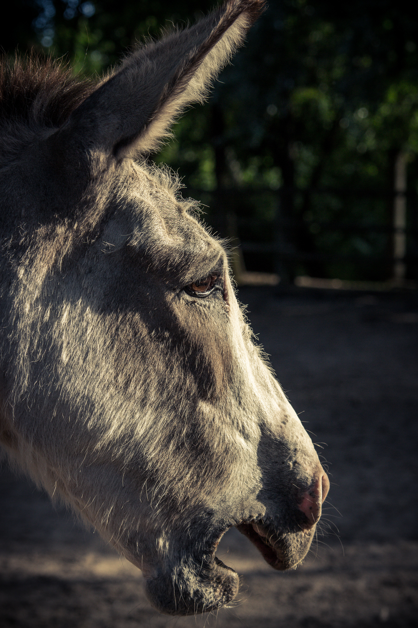 20180611 182338 00025