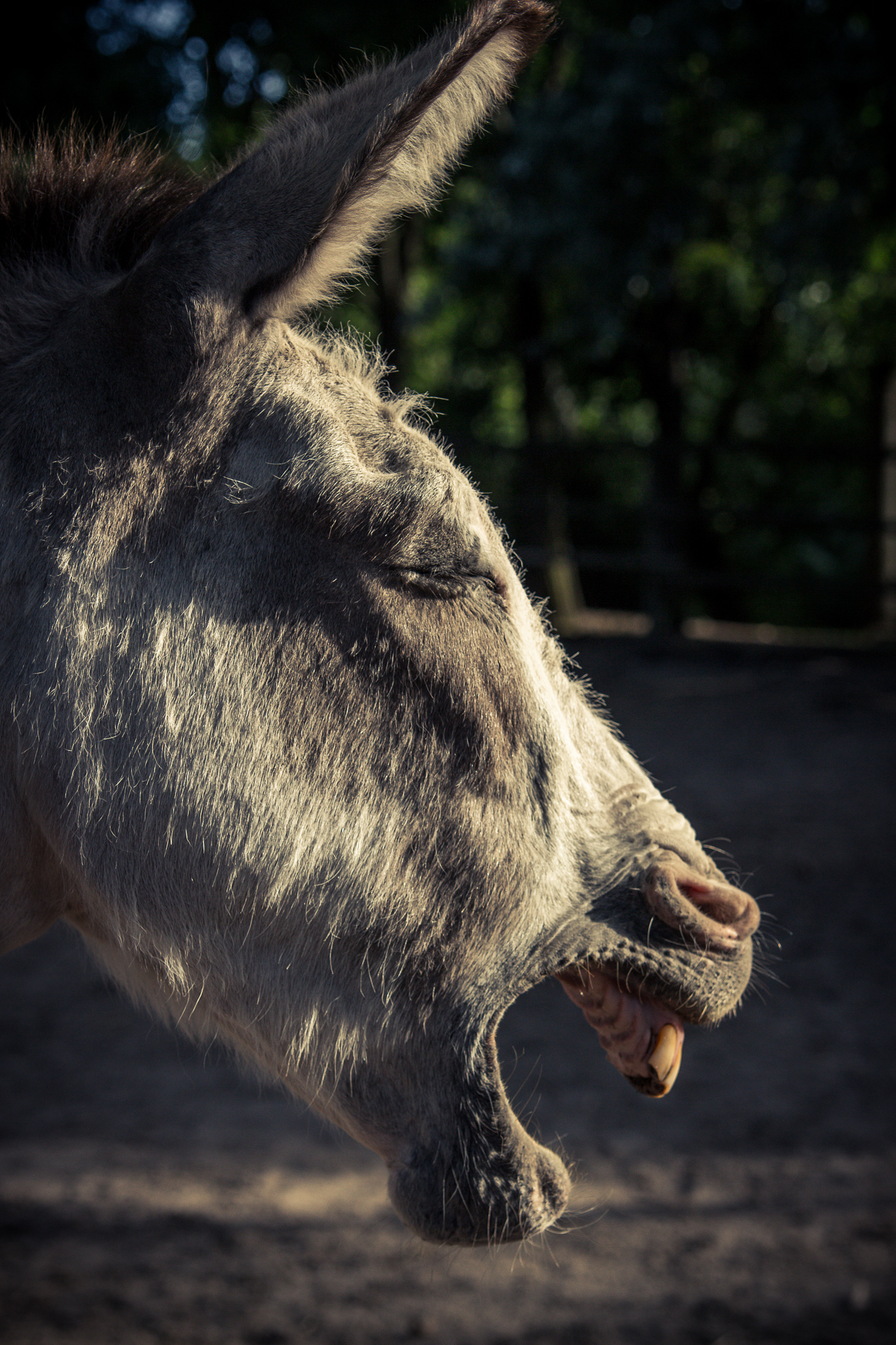 20180611 182339 00026