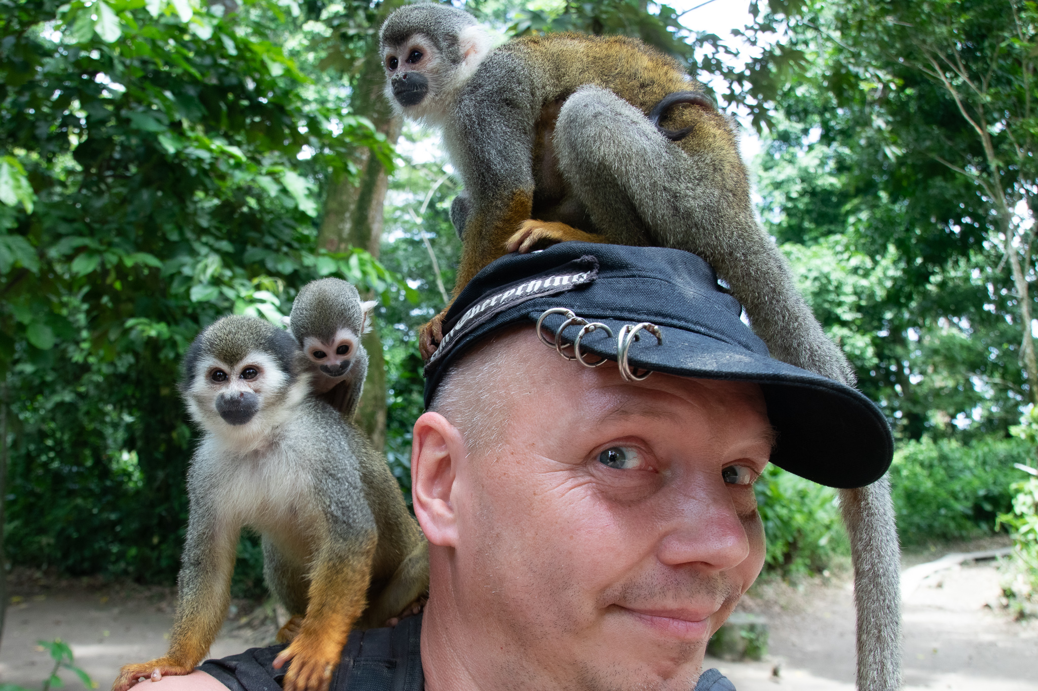 Monkey with a Monkey