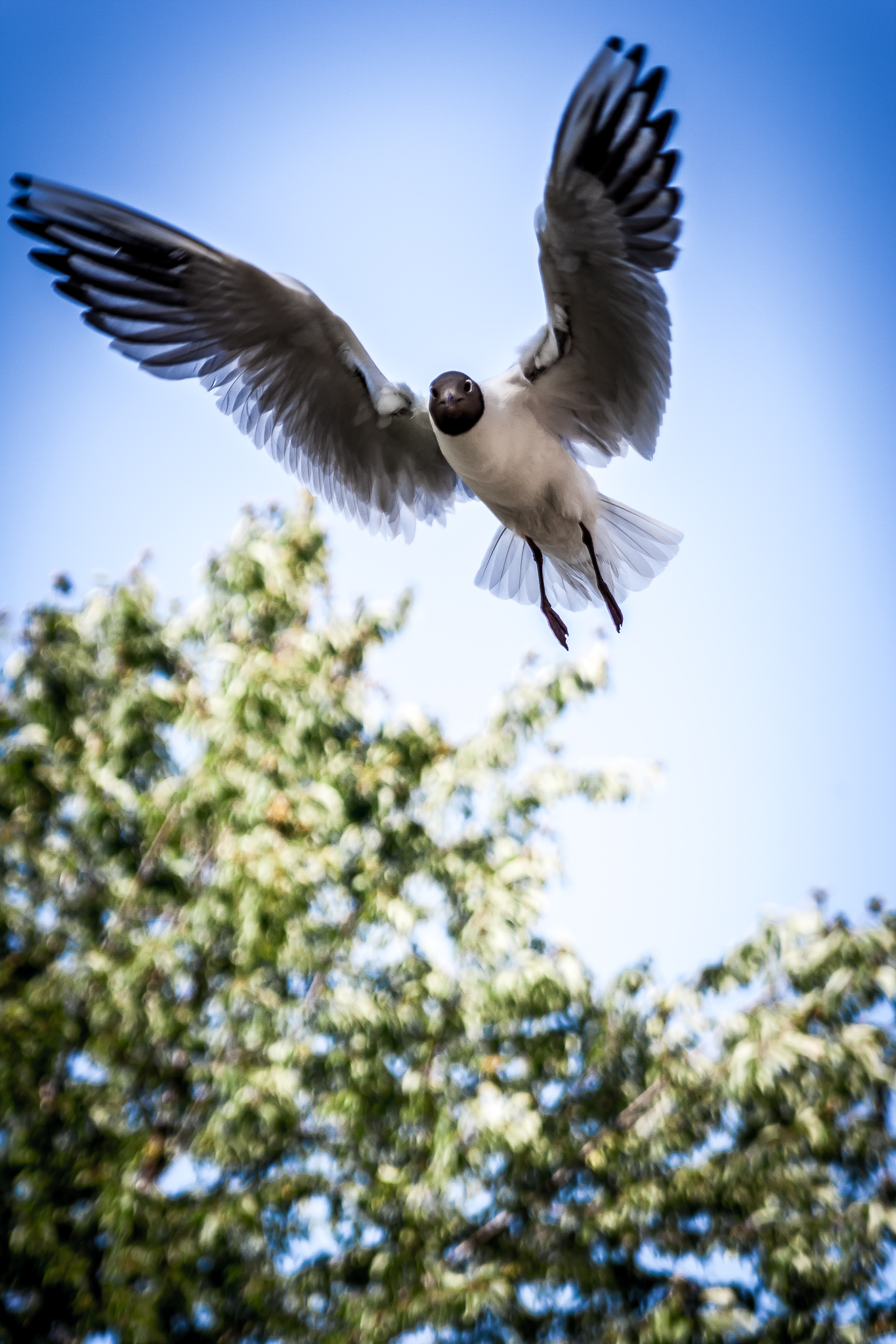 20060630 143732 00002