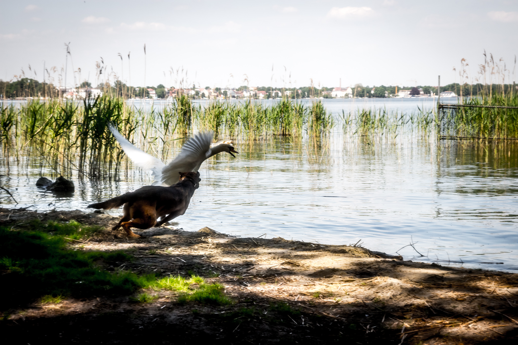 20170523 125021 00013