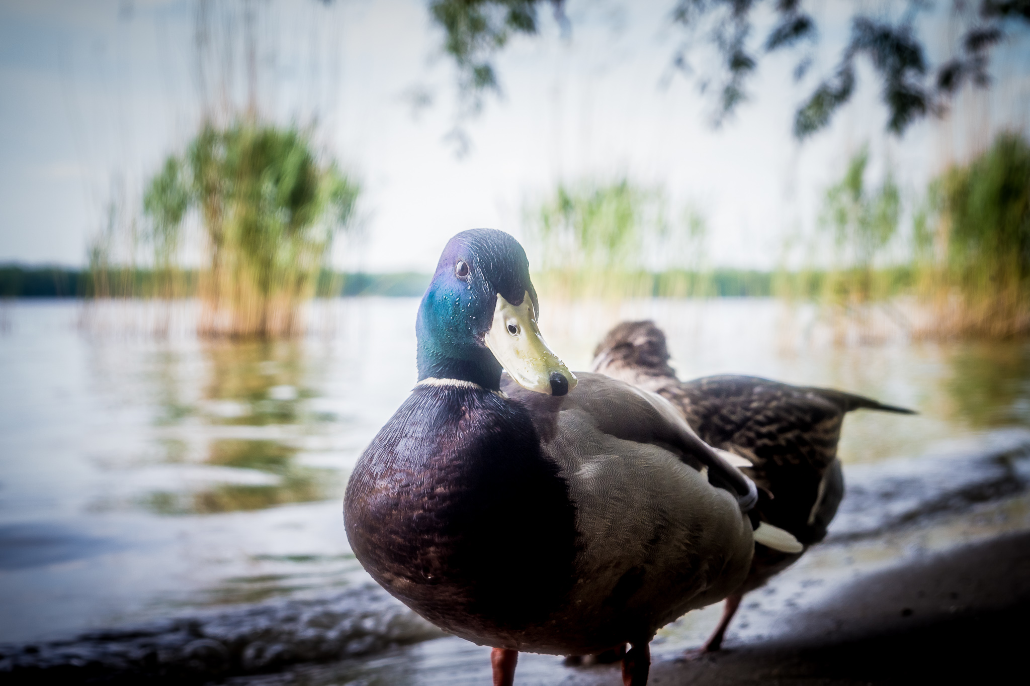 20170523 132335 00014