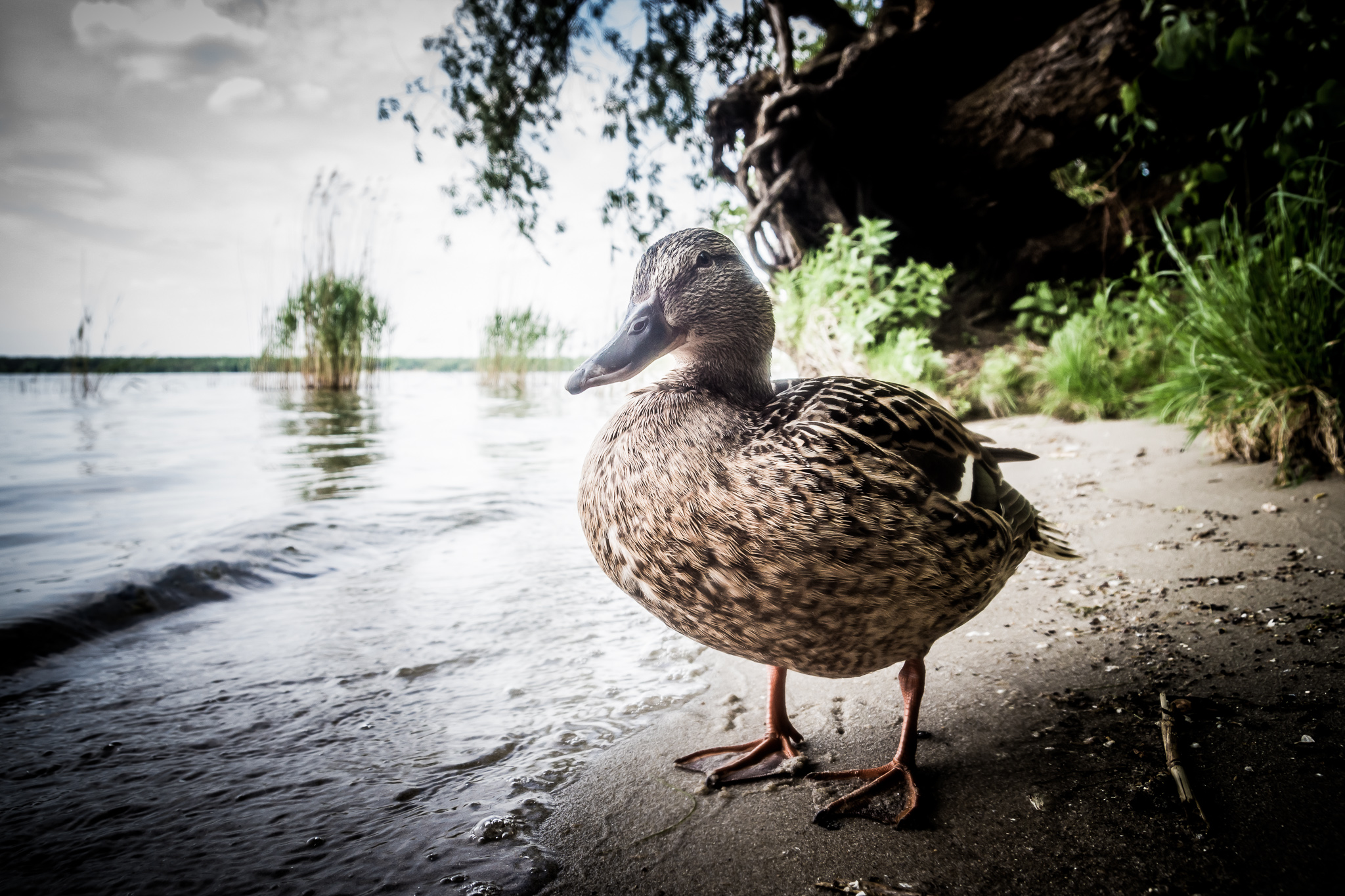 20170523 132712 00015