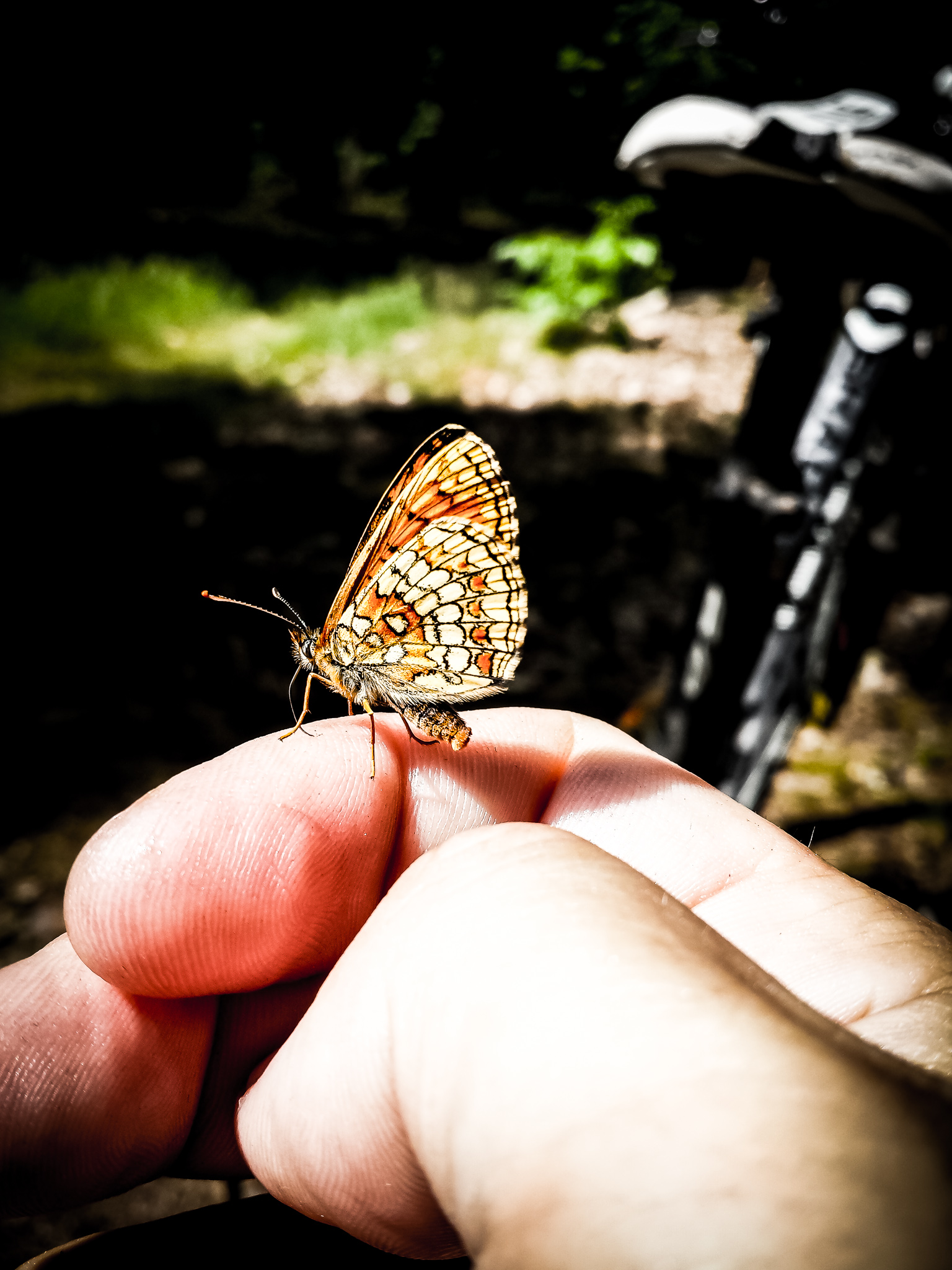 20170620 152520 00017