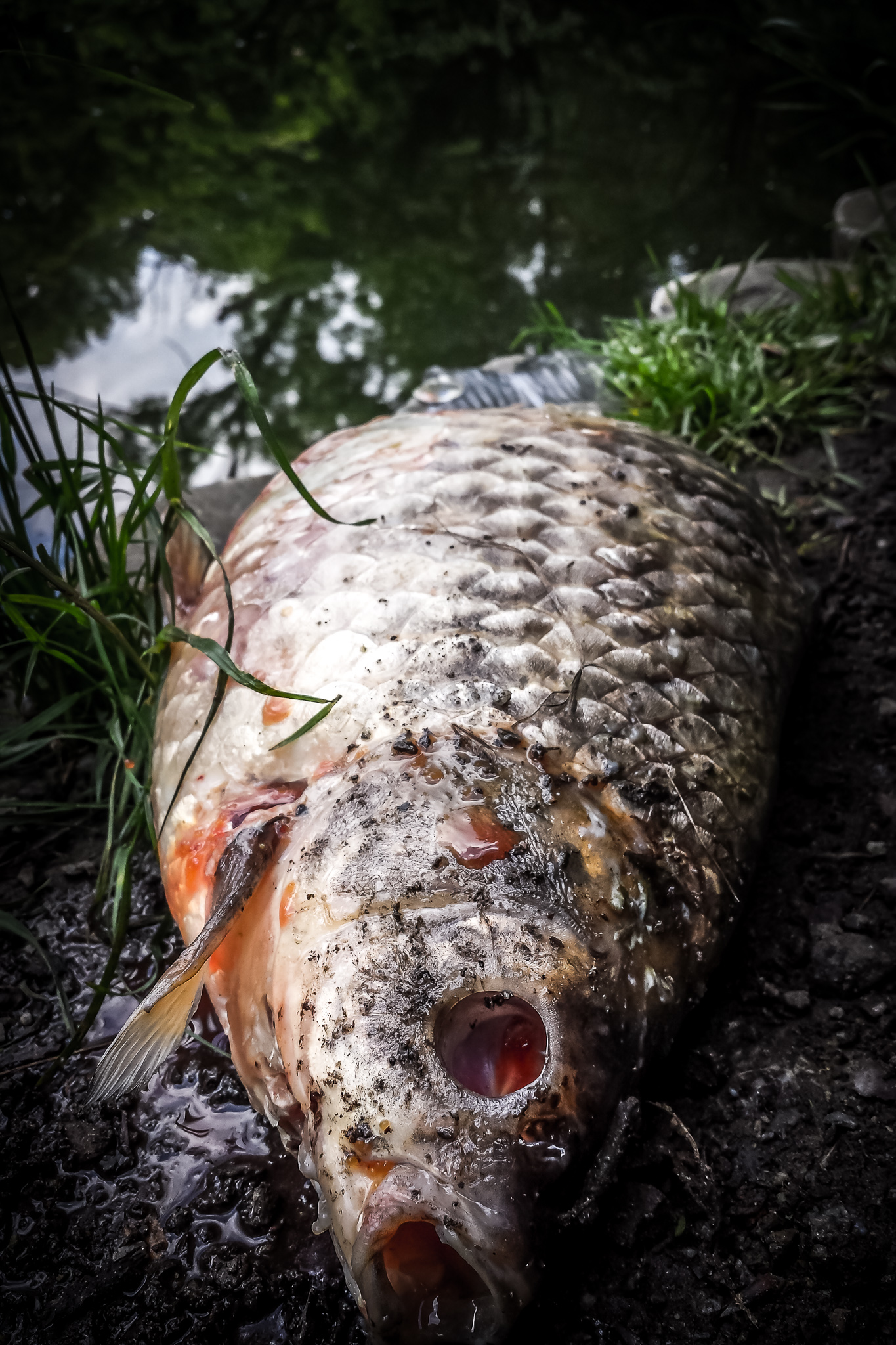 20150522 105805 00006